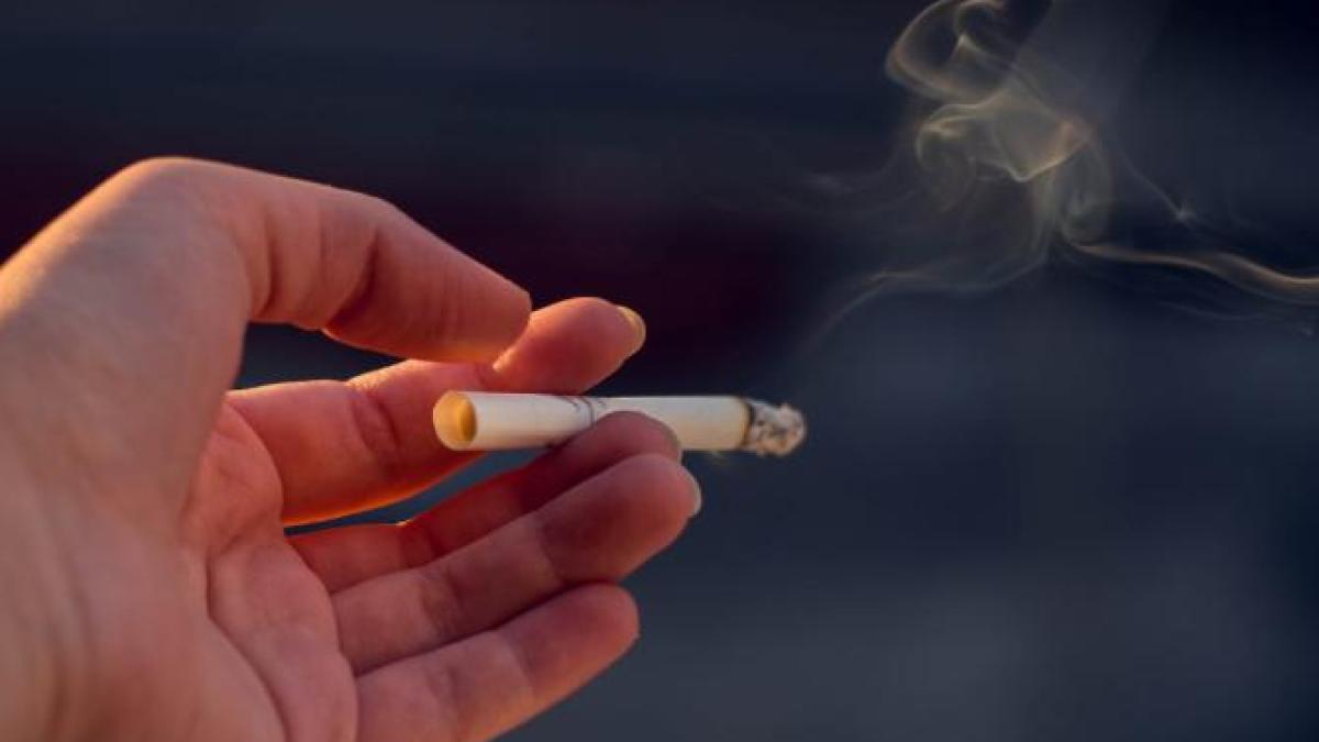 partidul-fumatorilor-ar-fi-pariul-castigator-in-anul-super-electoral-2024_38422900