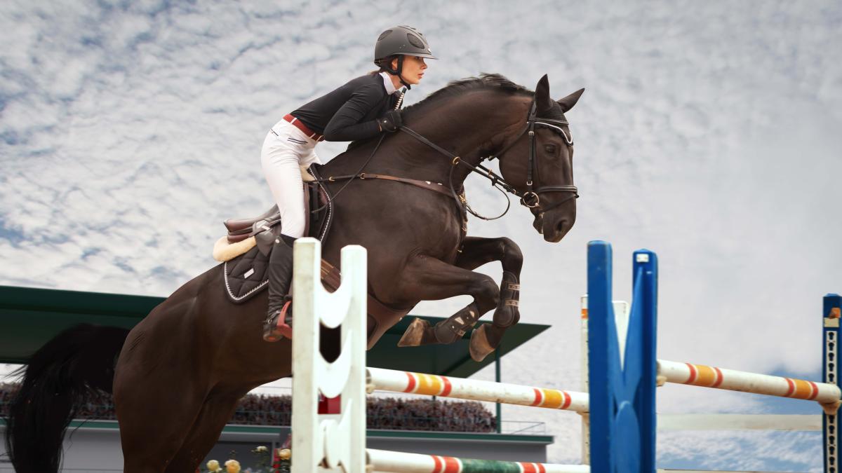 motivul-pentru-care-calaretii-din-rusia-si-belarus-nu-vor-concura-la-jo-de-la-paris-2024-prc-e2prc-80prc-9dacopera-perioada-cuprinsa-intre-1-ianuarie-2023-si-31-decembrie-2023prc-e2prc-80prc-9d_10094200