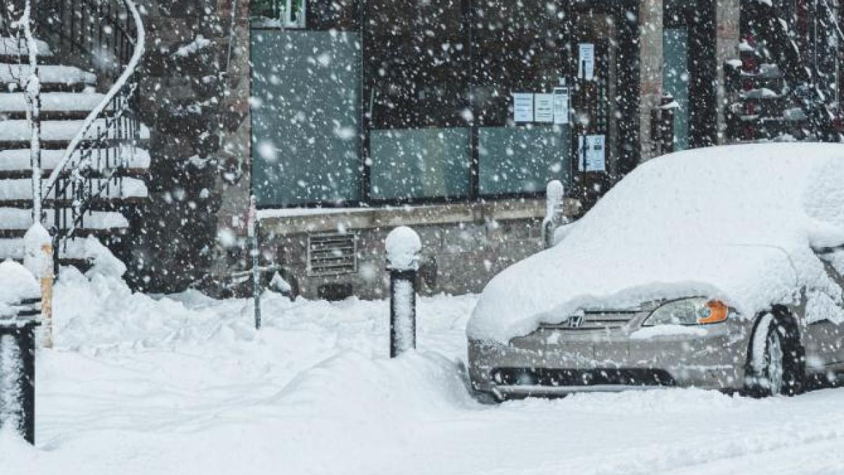 masini-dezapezite-titi-ur_34358300