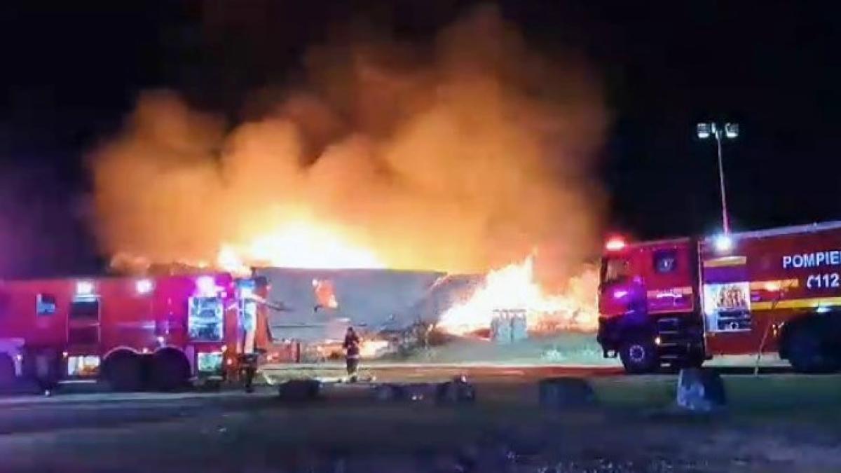 incendiu-tohani_70112200