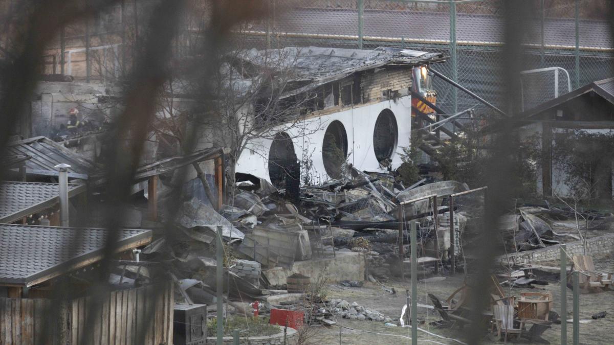 instant_urmari_tohani_ferma_dacilor_001_inquam_photos_bogdan_buda_44752900