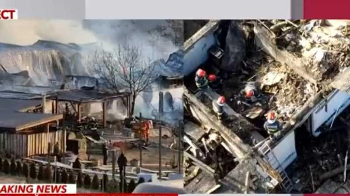 ferma-dacilor-dna_68615400