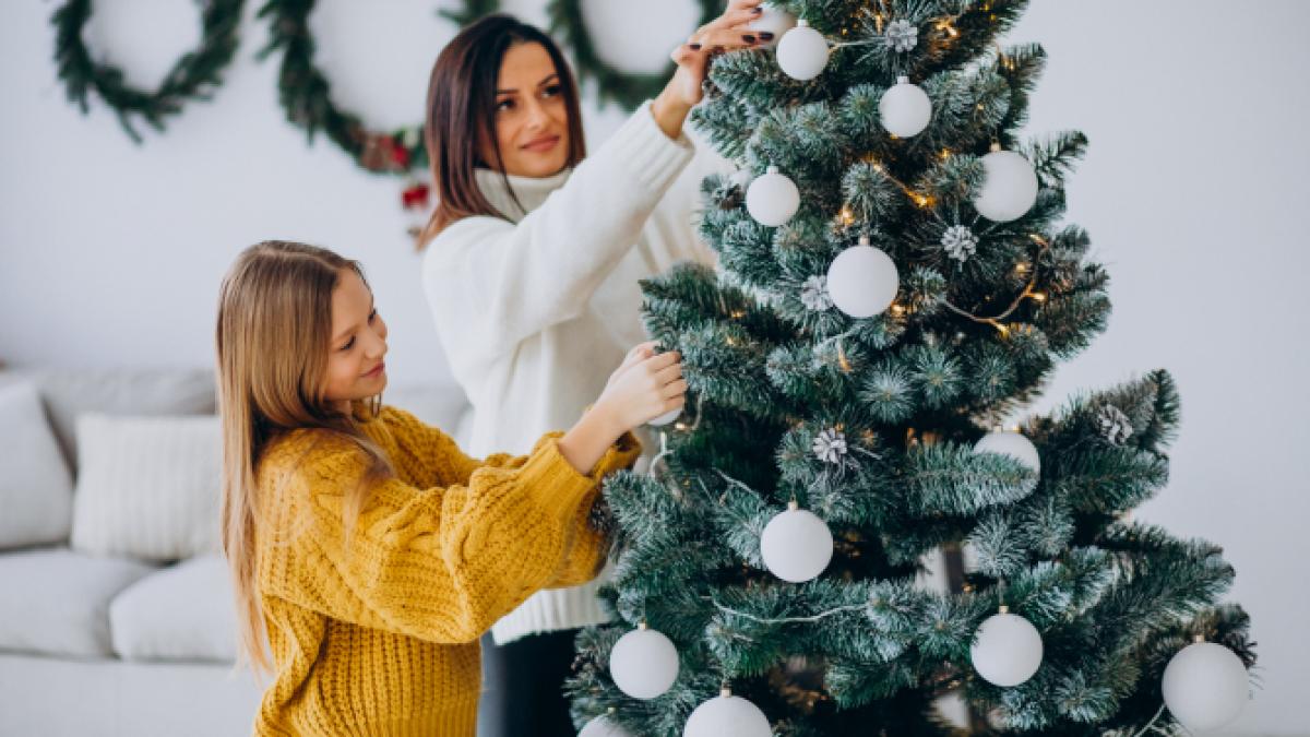 despodobire-brad-craciun_64169900