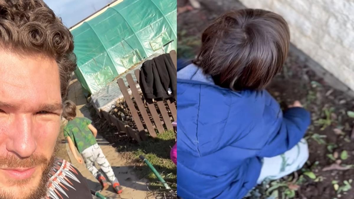 calin-donca_44569800