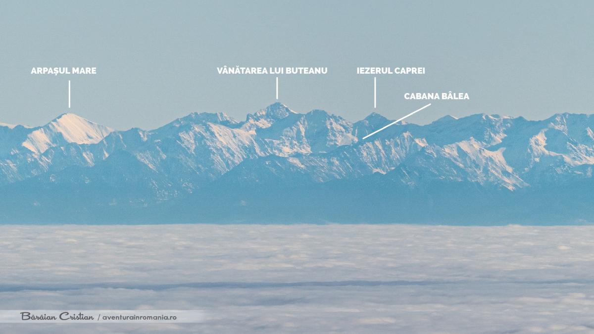 411468238_834995031967718_1538785668109956949_n_71339200