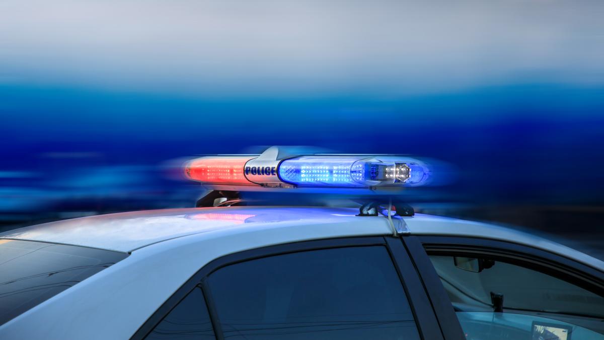 incendiu-ferma-dacilor--fostul-si-actualul-primar-de-la-gura-vadului--dar-si-un-alt-functionar--vizati-de-perchezitii_94629300