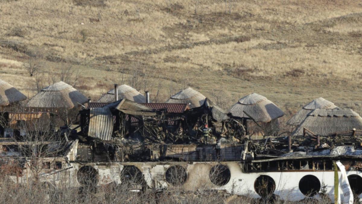 ferma-dacilor-sora-lui-corneliu_40967200