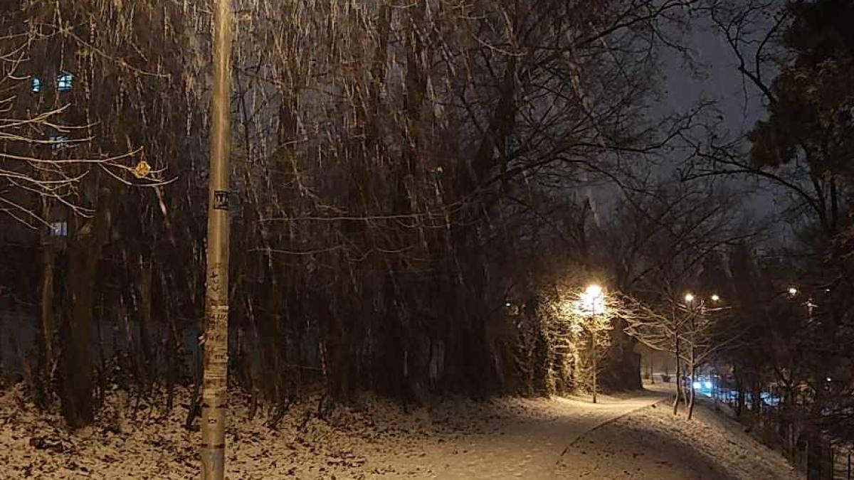 romania--sub-pragul-de-ger--cu-ninsori-si-viscole--elena-mateescu-anm-vom-atinge-varful-acestui-episod-autentic-de-iarna_65990200