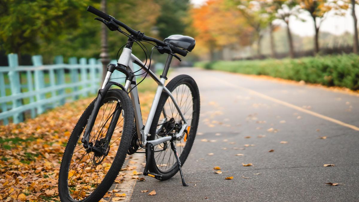 ce-pateai-daca-intrai-cu-bicicleta-in-locurile-interzise--valcu-te-intorceai-cativa-kilometri-cu-bicicleta-de-ghidon_11124500