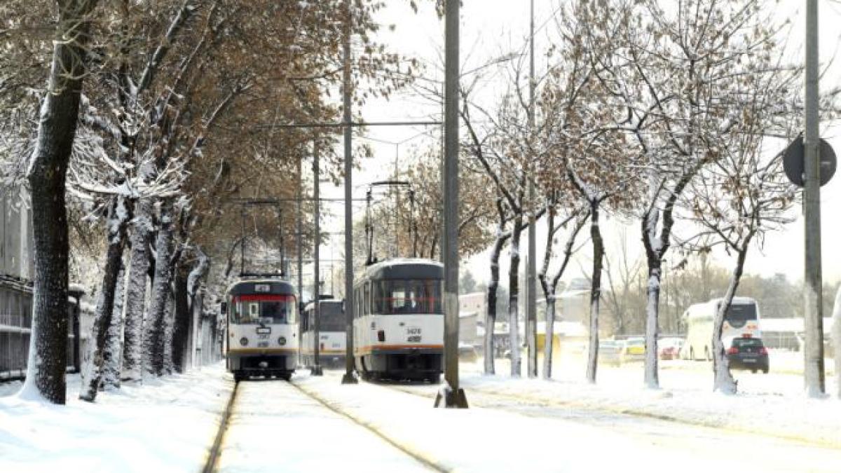 zapada-bucuresti_55253200