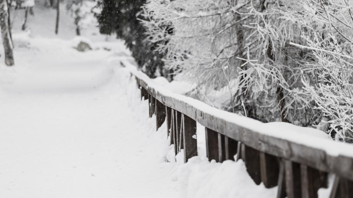wooden-fence-snowy-woods_45672300
