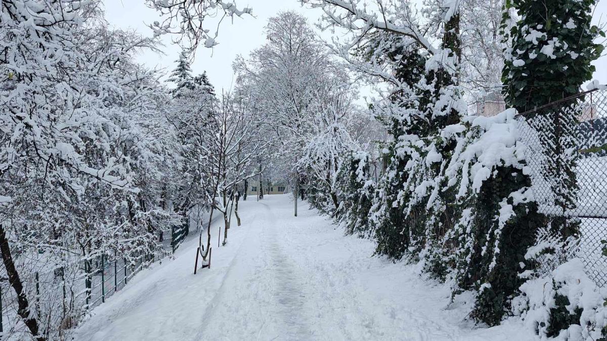 scolile-din-iasi--inchise-din-cauza-vremii-nefavorabile--cursurile-se-vor-recupera-ulterior_49594500