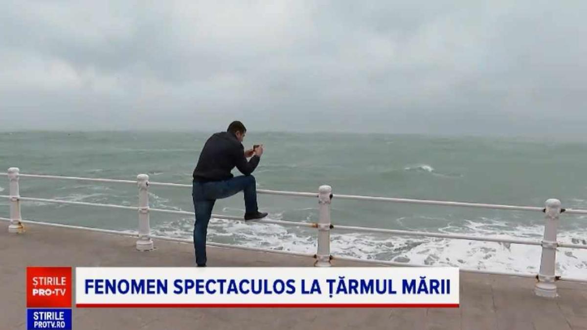 fenom-mar-spectaculos_16257900