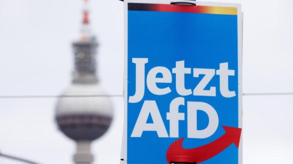 expulzarea-imigrantilor-neasimilati---chiar-daca-acestia-au-cetatenie--propunerile-activistilor-neonazisti-si-ale-partidului-alternativa-pentru-germania_22724700