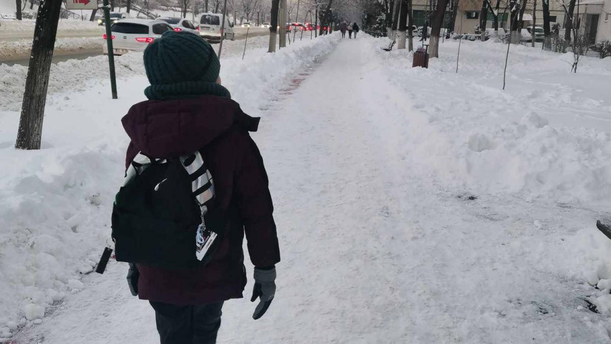 mersul-la-scoala-prin-ger-si-nameti--o-adevarata-aventura--ce-nu-iau-in-considerare-cei-care-spun-ca-ne-plangem-la-primul-fulg-de-nea_73990800