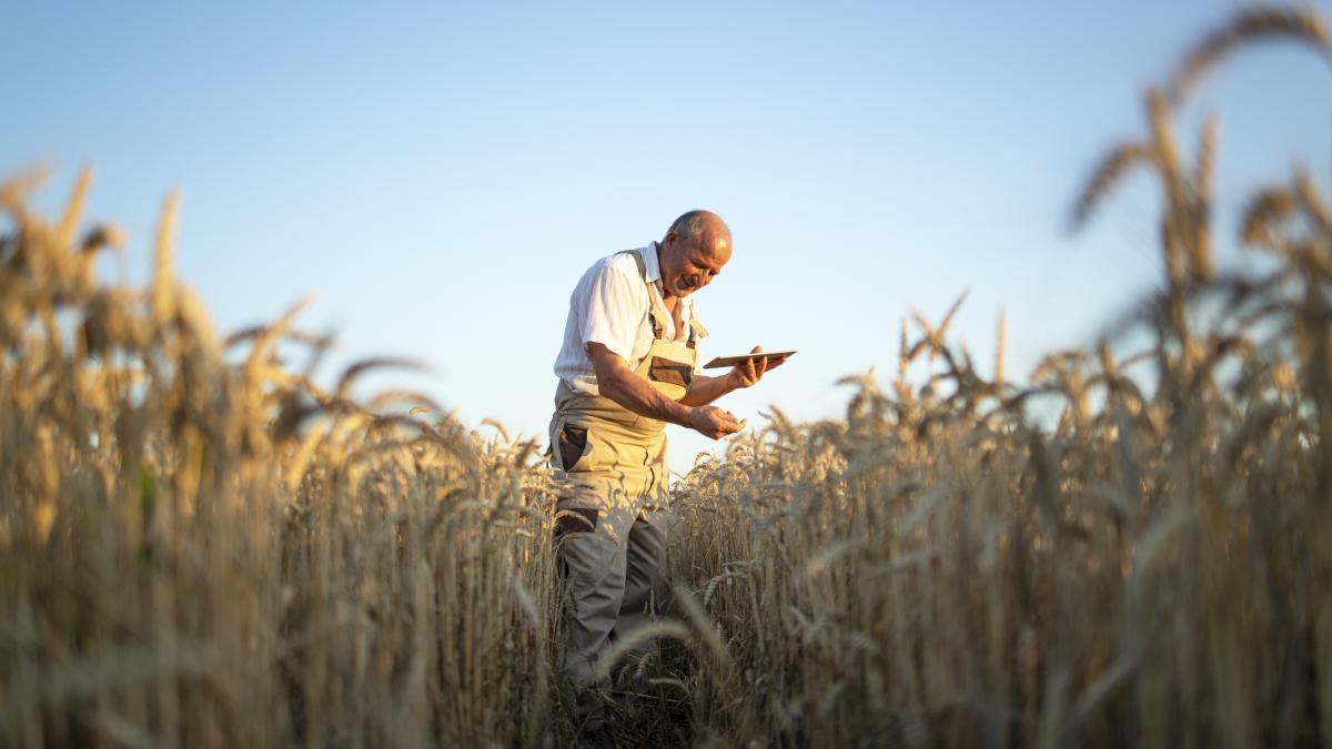 bani-pentru-fermieri_21101200