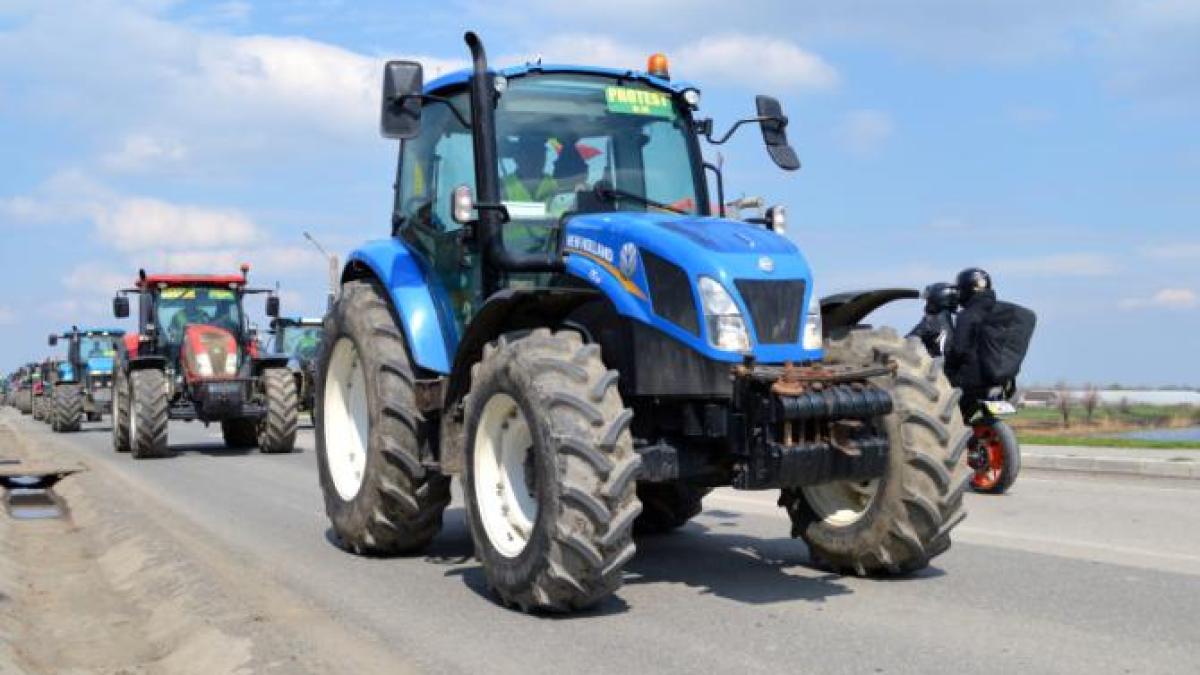 protest-fermieri_16486100