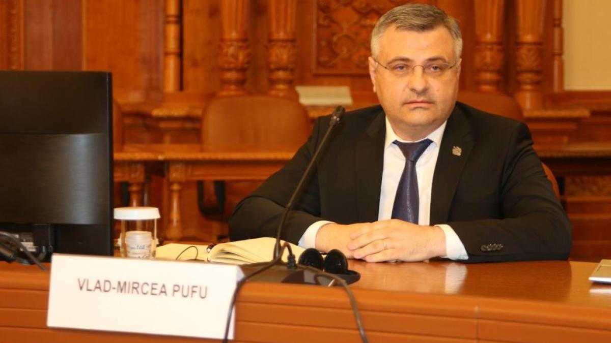 vlad-pufu-cultura-senat_87262400