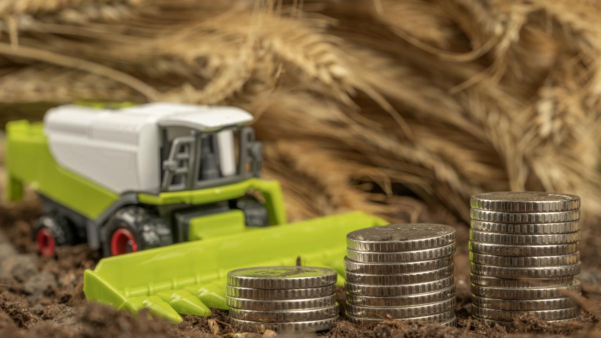 oug-ul-care-trebuia-sa-ii-ajute-pe-fermieri-a-turnat-benzina-pe-foc--sunt-aproape-de-faliment_68518500