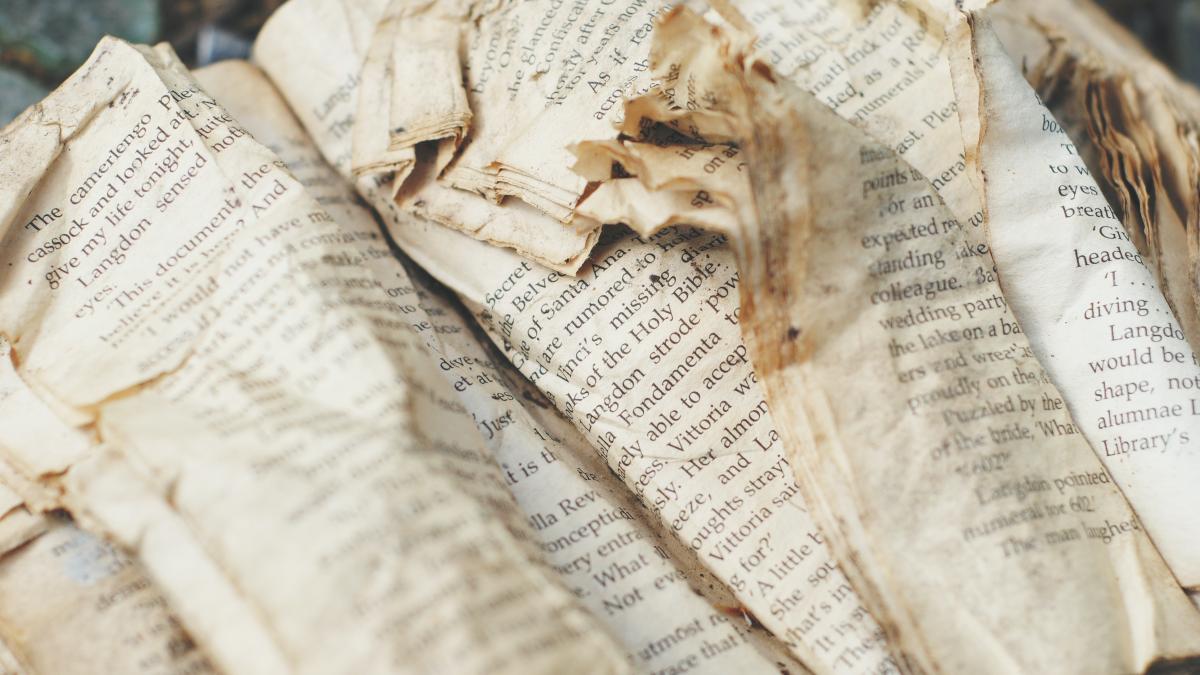 ziua-culturii_03564100