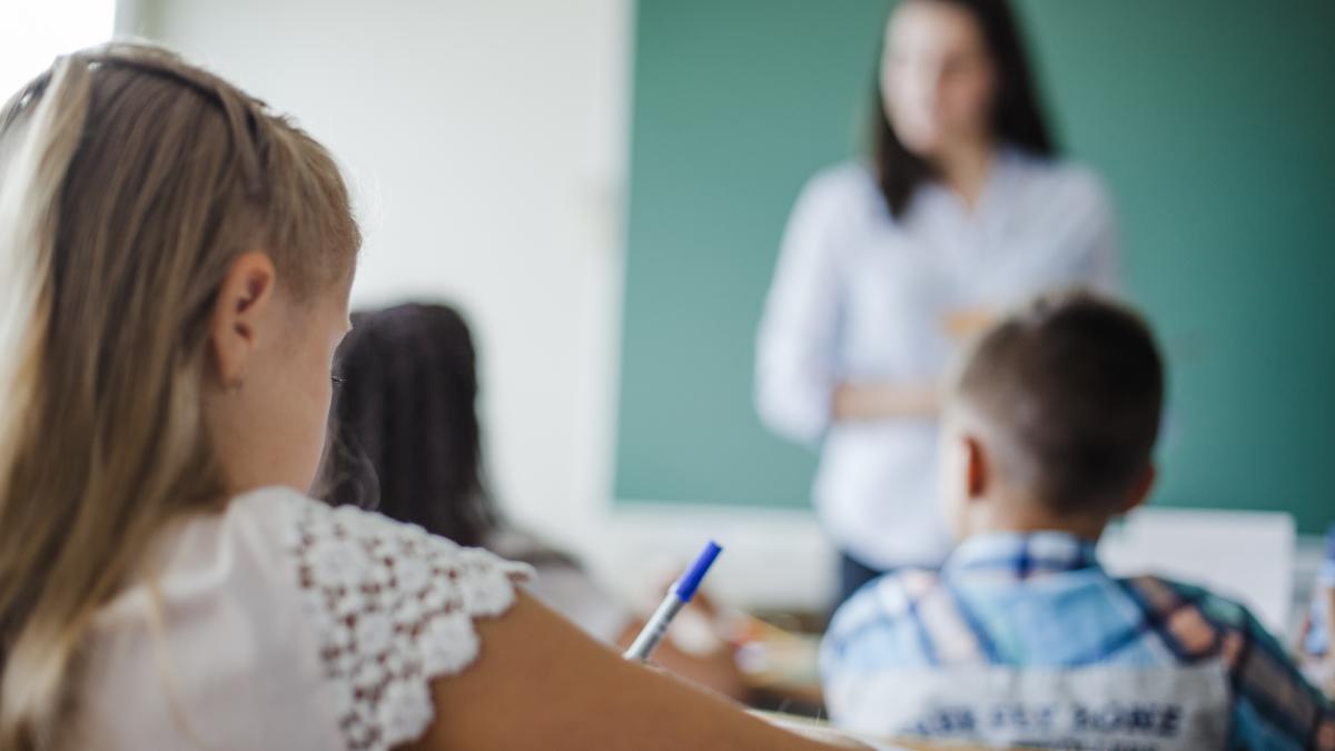 materiile-neglijate-de-scoala--ioan-aurel-pop--presedintele-academiei-romane--se-lupta-cu-ministerul-educatiei-aceasta-nu-este-o-gluma-2_96848900