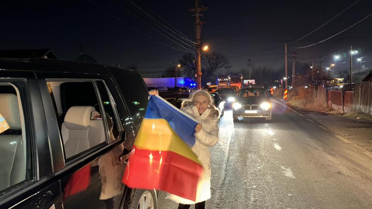 mirela-negoita-protest_62061000