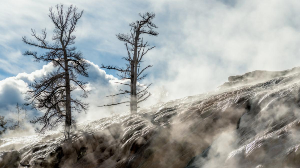 anm--alerta-meteo-de-intensificari-ale-vantului-in-cinci-judete_71236800