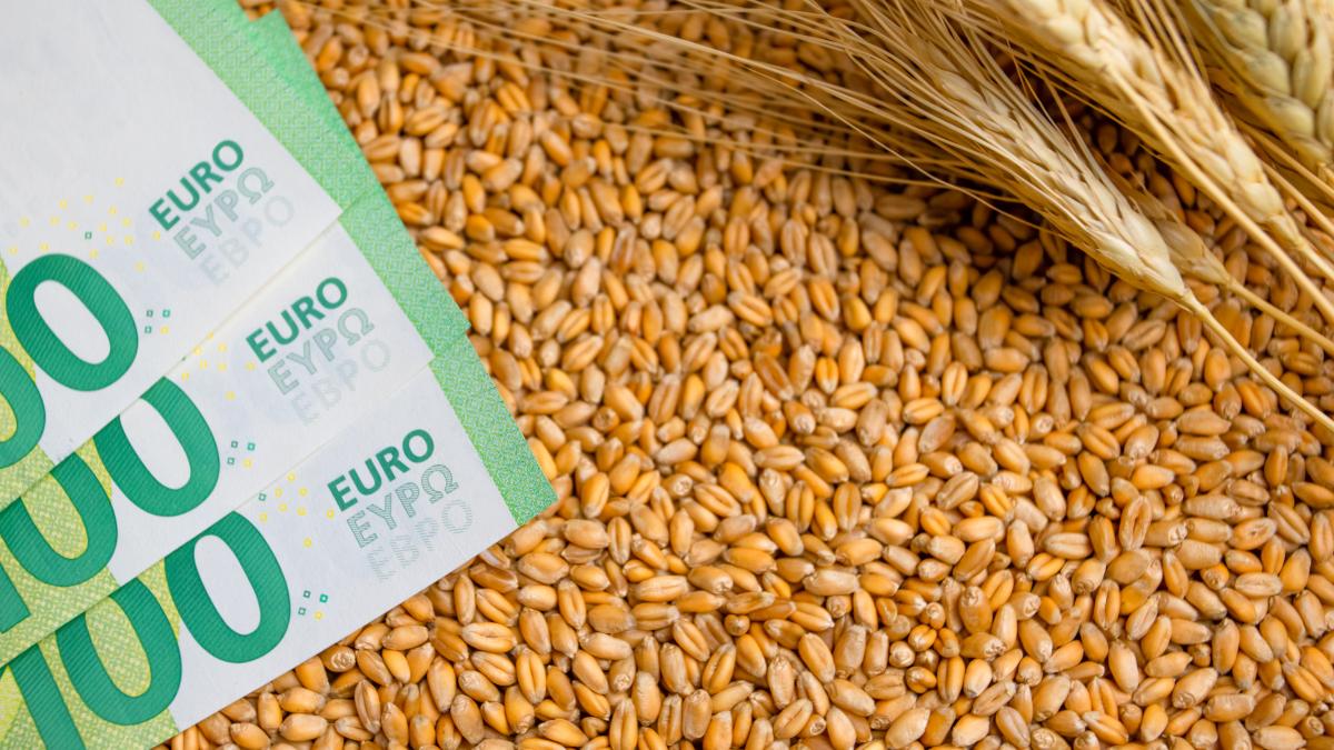 ce-se-afla-in-spatele-ajutorului-dat-transportatorilor-din-ucraina--burlacu--acuzatii-e-multa-lume-implicata--se-fac-bani-multi_57717600