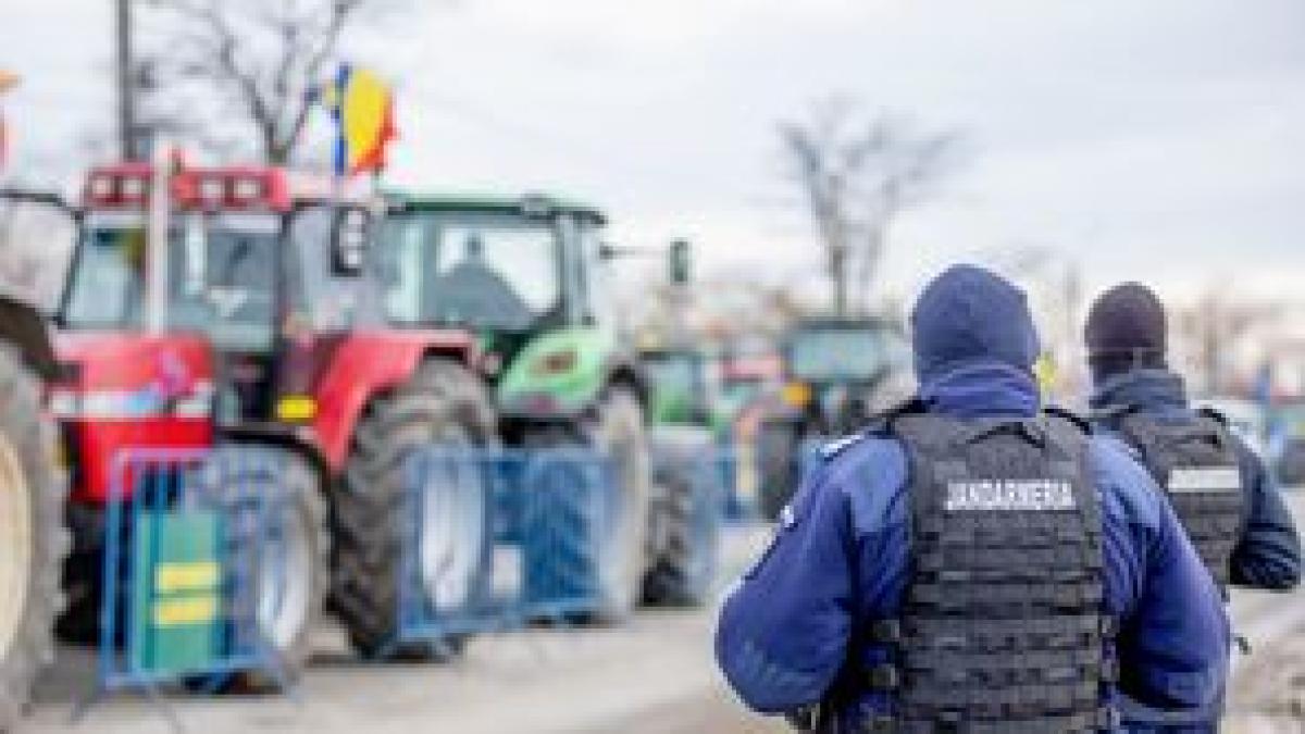 protestul-din-bucuresti--aprobat-de-nicusor-dan-la-cererea-avocatului-dianei-sosoaca--ce-spune-despre-demersul-facut_96780900