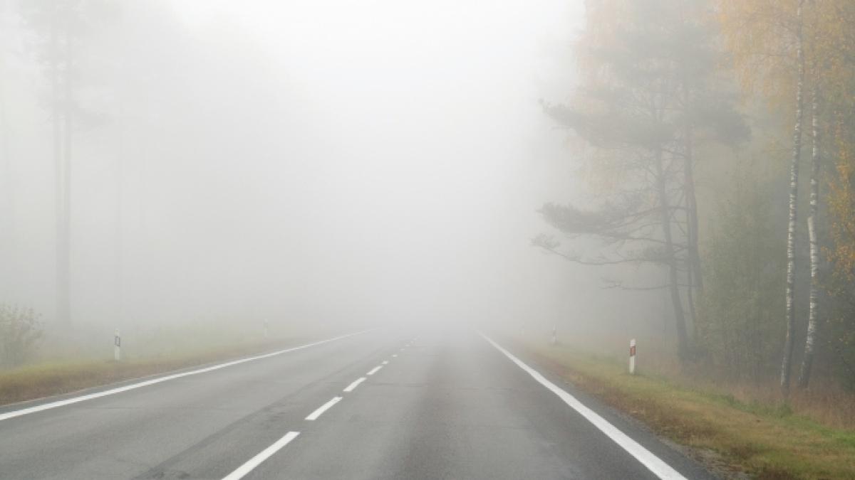 vant-puternic-de-pana-la-100-km-h--au-fost-emise-alerte-de-vant-si-ceata-densa_75705700