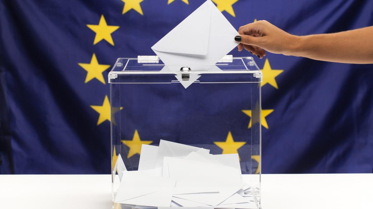 parlamentul-european--noi-reguli-pentru-desemnarea-capilor-de-lista-la-alegerile-europarlamentare--simon-prc-e2prc-80prc-9dalegatorii-au-nevoie-de-claritateprc-e2prc-80prc-9d_81650100