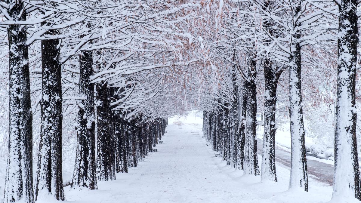 cum-va-fi-vremea-in-urmatoarea-perioada--elena-mateescu-anm-ne-asteptam-la-minime-de--18-grade_16689800