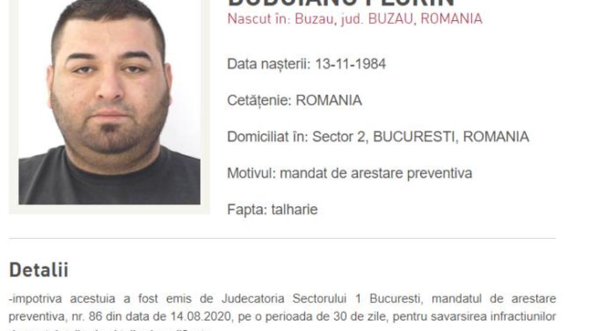 florin_duduianu_arestat_sua_05027800
