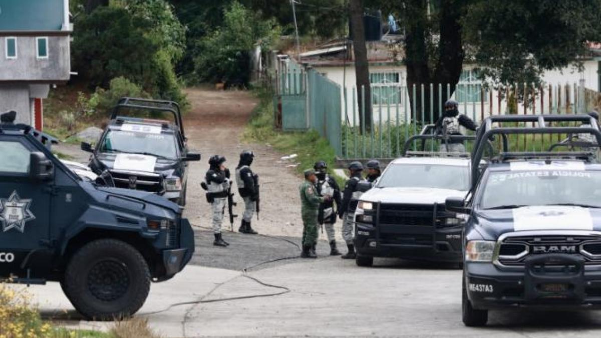 cartel-mexic_53141200