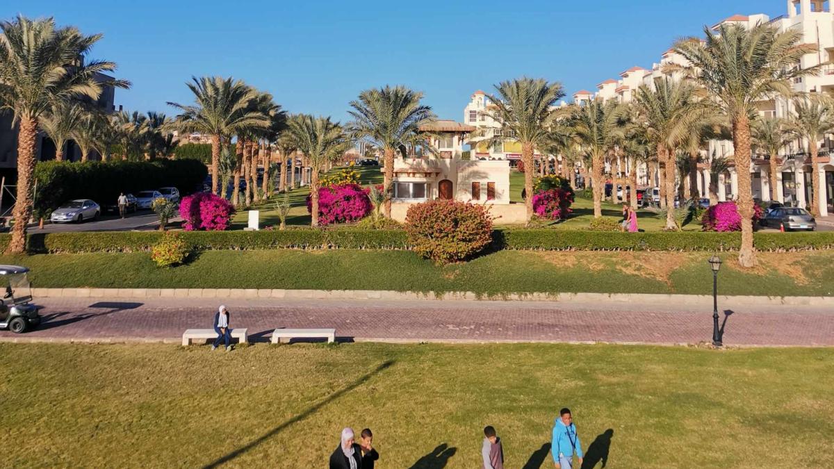 oras-africa-paradis_73752500