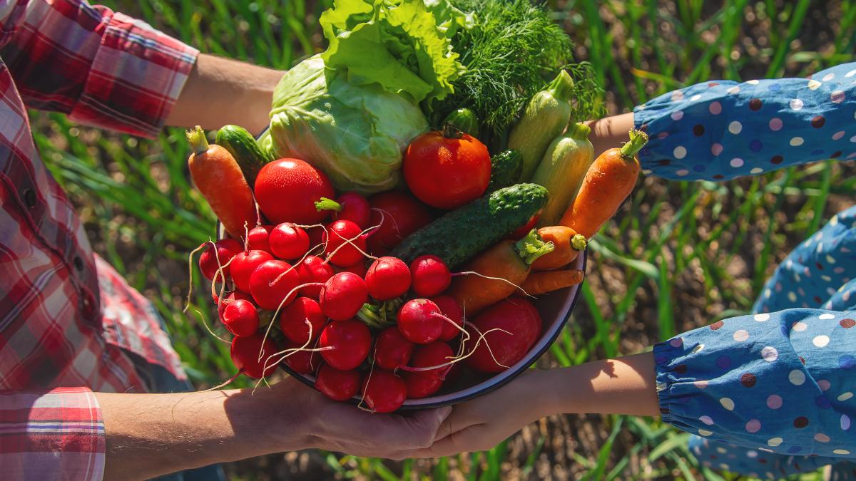 oamenii-au-fost-pacaliti--unde-s-a-gresit-cu-programul-tomata-si-problema-asocierii--dragos-frumosu-eu-nu-as-fi-dat-banul-direct-fermierului_99122500