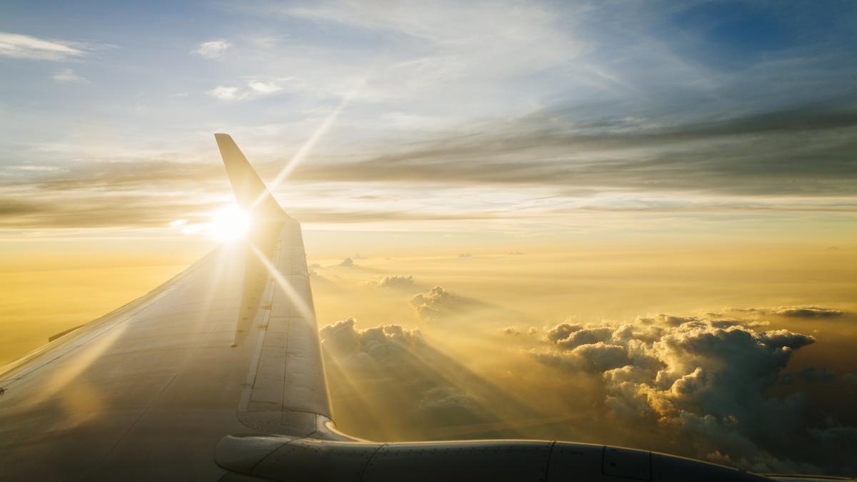 avionul-rusesc-in-care-se-aflau-65-de-prizonieri-de-razboi-ucrainieni--doborat-de-o-racheta-ucraineana--a-fost-deschis-dosar-penal-pentru-terorism_62414100