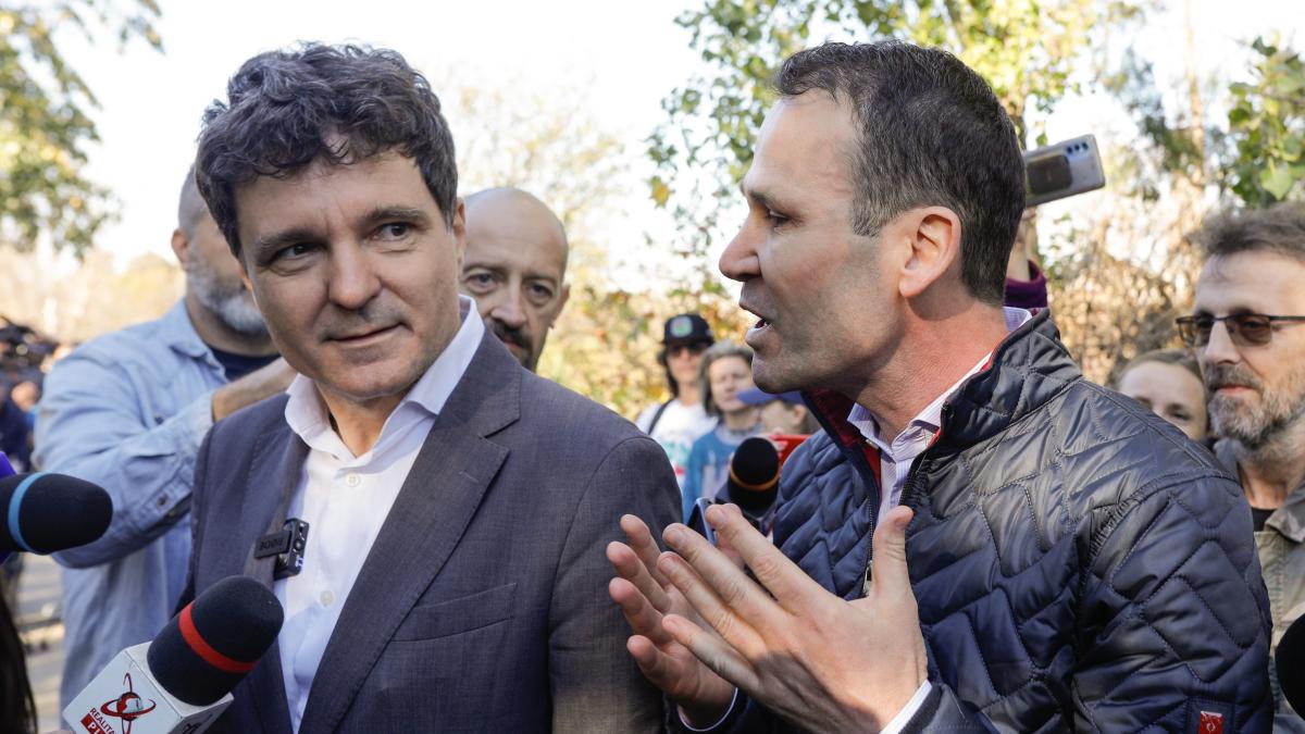 cum-se-simt-palmierii-din-fata-primariei-sectorului-3--la--10-grade-robert-negoita-ii-raspunde-lui-nicusor-dan_00528500