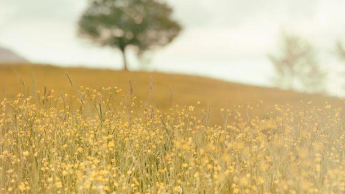 o-prc-e2prc-80prc-9epajiste-comestibilaprc-e2prc-80prc-9d-care-are-rolul-de-a-imbunatati-sanatatea-intestinala_16686100