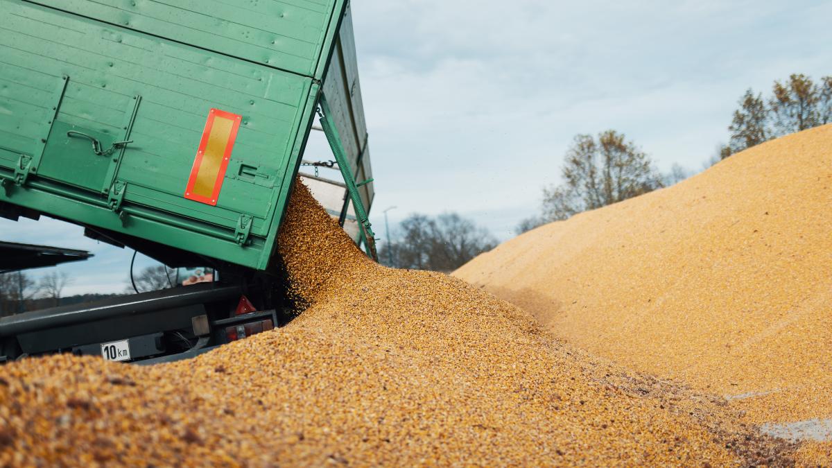 importuri-de-cereale-ucrainene-in-romania--desi-existau-interdictii-ue--barbu-noi-nu-putem-verifica--sa-verifice-institutiile-statului_63246700