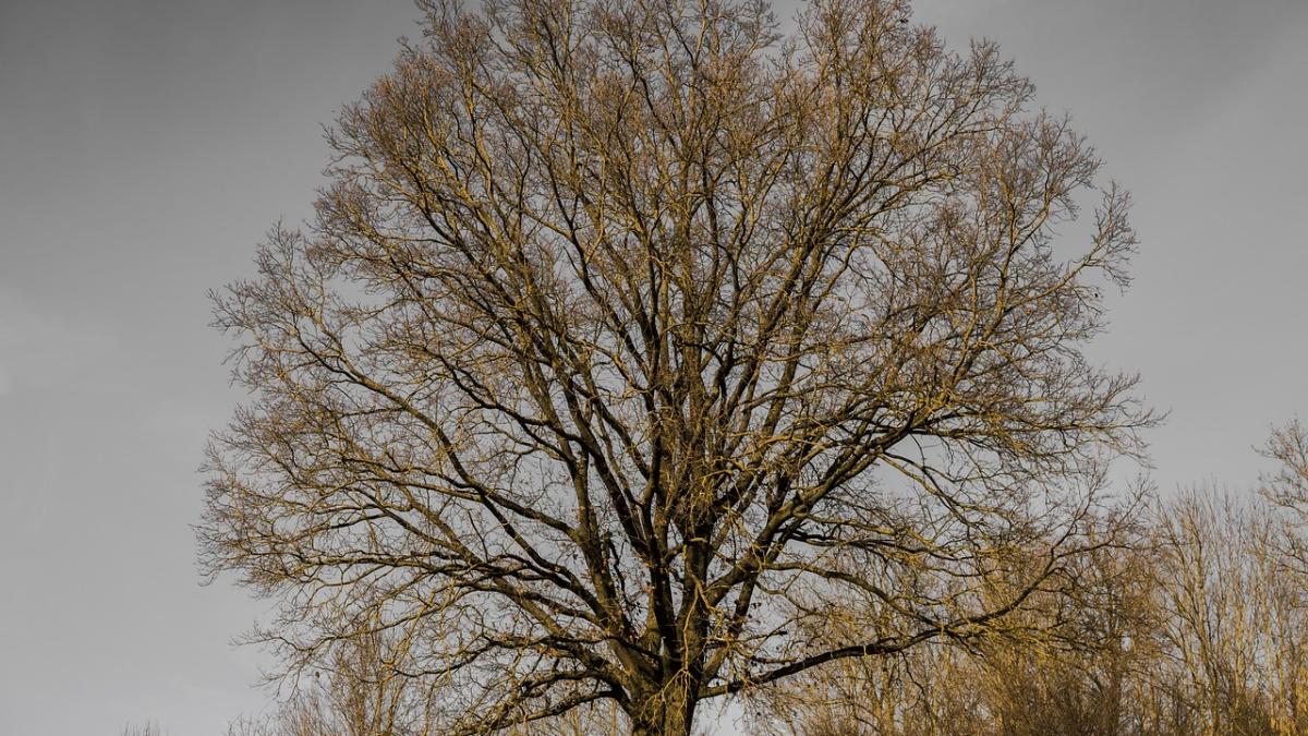 vremea-se-incalzeste-anm_18403800