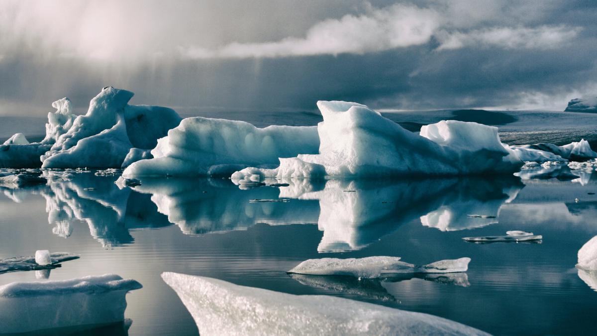 pexels-andrea-schettino-3923277_29359100