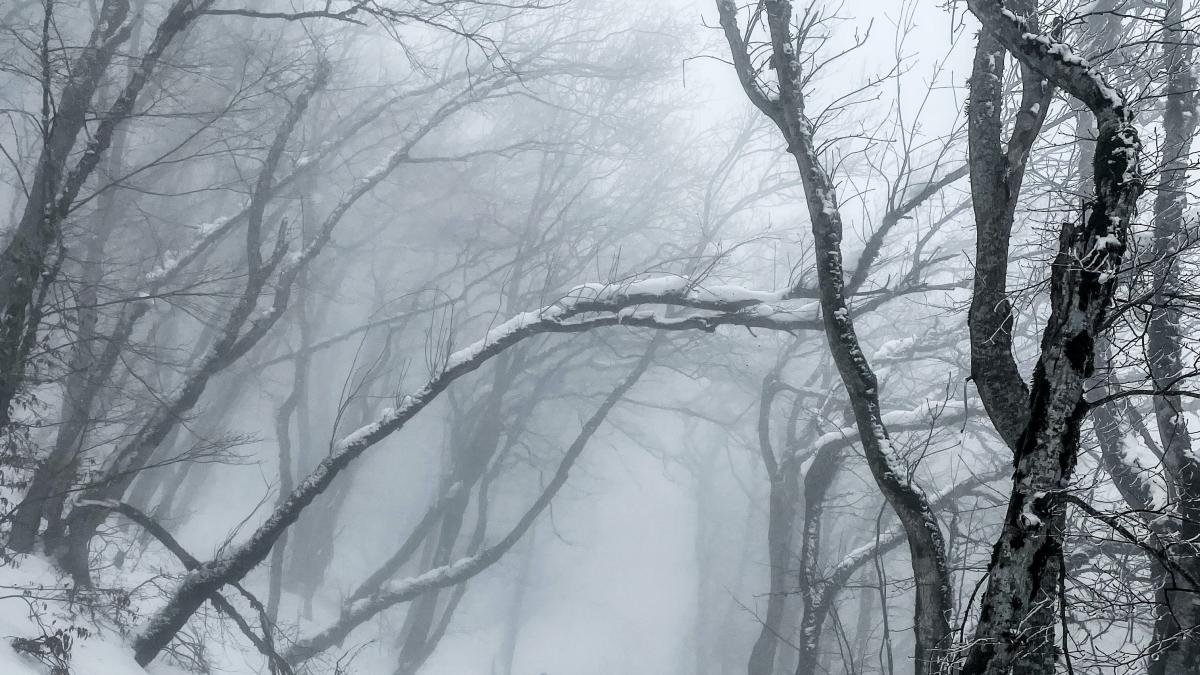 pexels-kamizzle-11869802_03962300