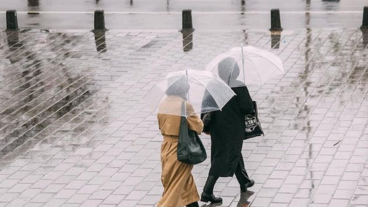 ploi-iarna-anm_85845100