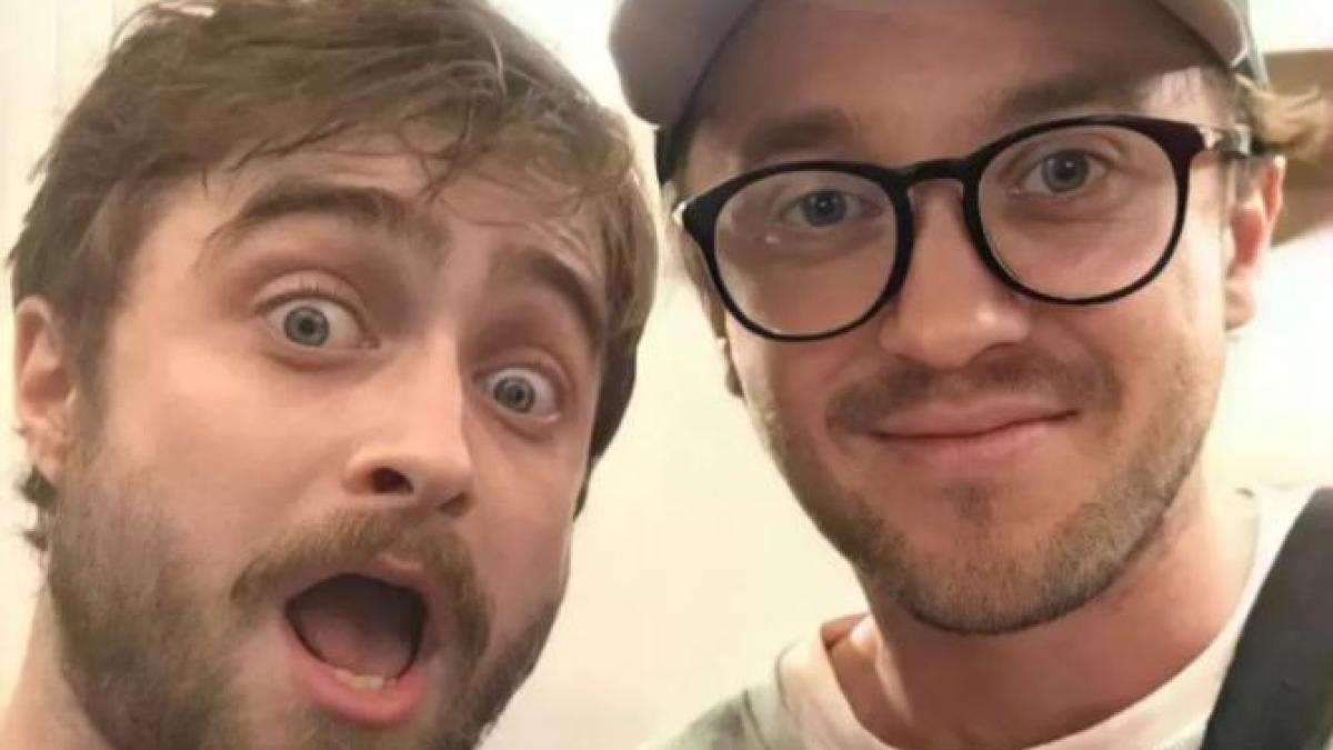 tanar-harry-potter-arestat_15953000