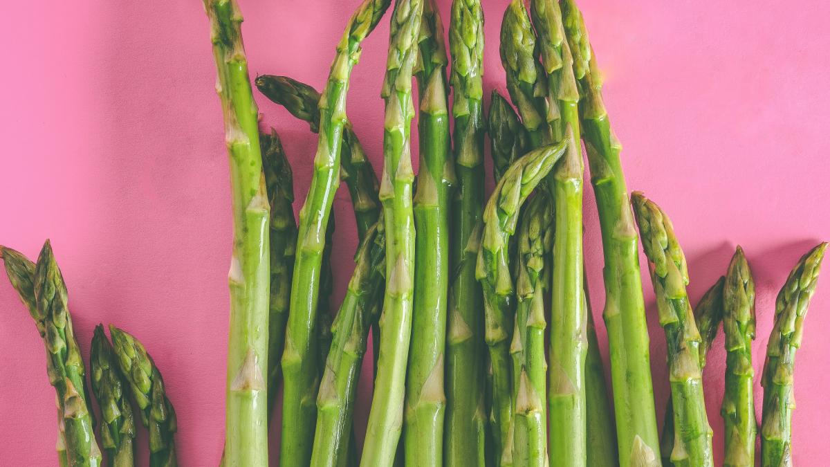 joah-brown-0_tdkfgwtge-unsplash_97134400