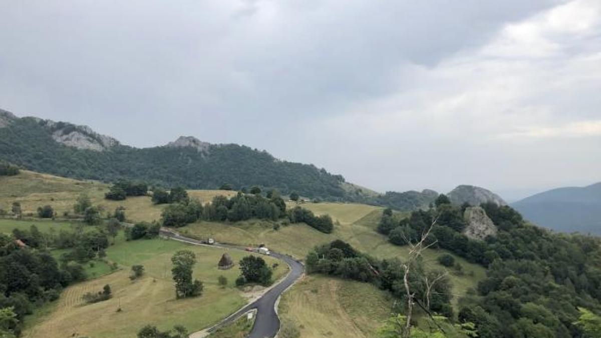 transapuseana_52220300