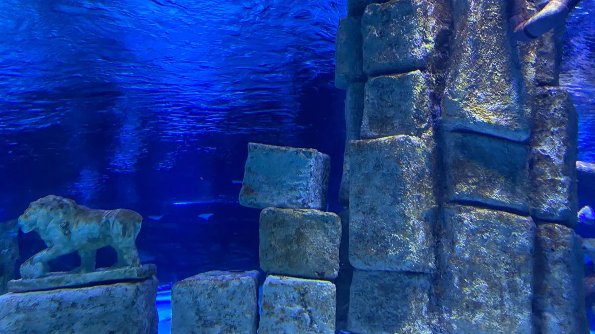 zid-sub-apa_29359700