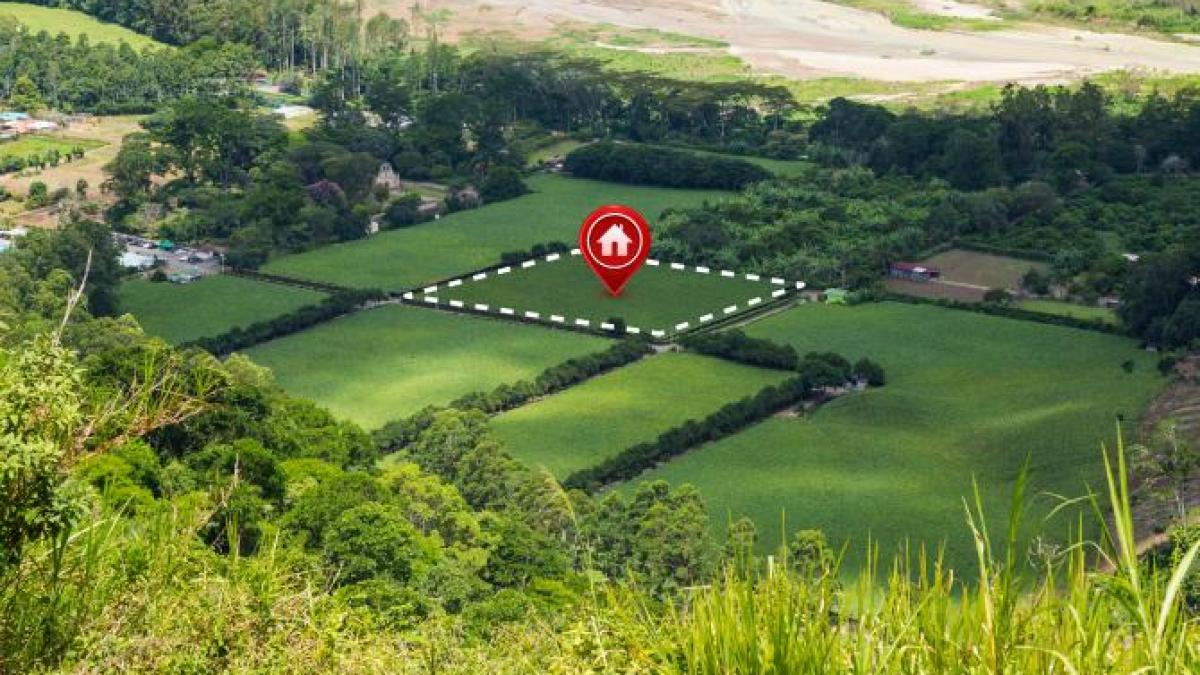 ancpi--alocare-de-peste-300-de-milioane-de-lei-pentru-lucrarile-de-cadastru-realizate-de-primarii_49070100