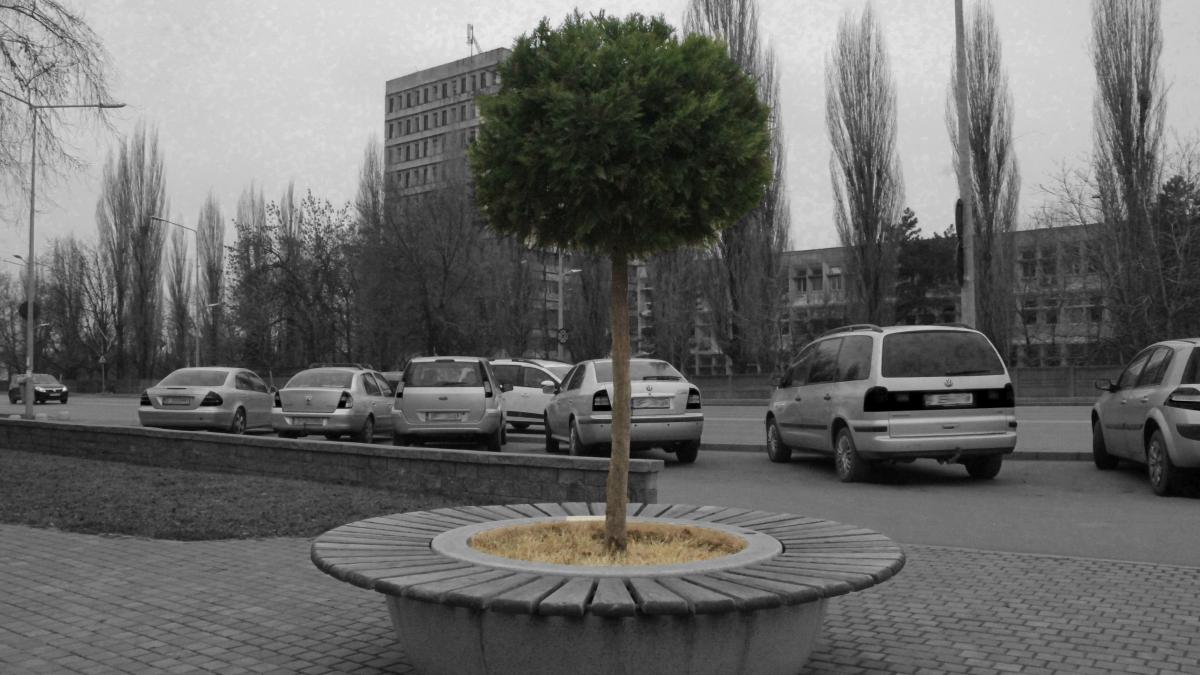 _mg_0618-copy_53959000